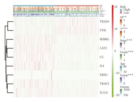 A B Establishment Of A Risk Signature Using The LASSO Regression