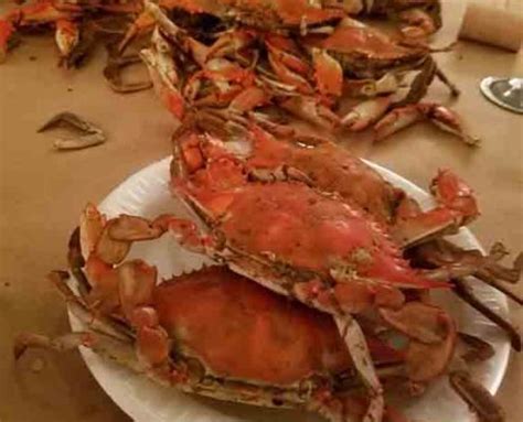 All-You-Can-Eat & Drink Seafood Feasts-Baltimore Maryland | David Tours