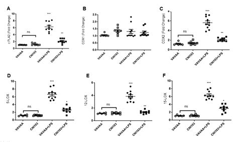 Figure 4 From The Calcineurinnfatc Pathway Modulates The Lipid