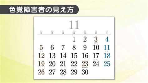 日曜・祝日が分かりづらいカレンダー…誰もが使いやすい「ユニバーサルデザイン」普及を | TBS NEWS DIG
