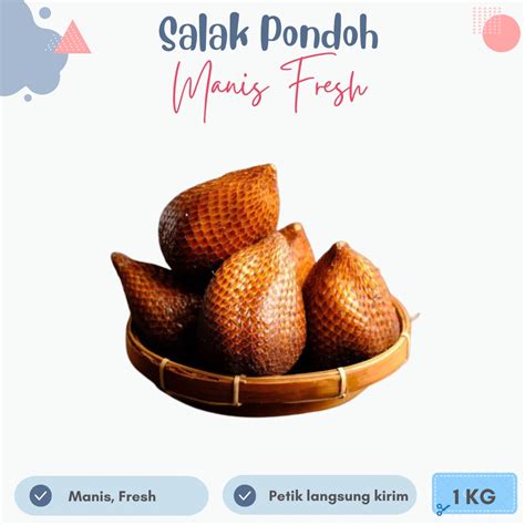 Jual Salak Pondoh Super Kg Fresh Manis Dipetik Langsung Dari Pohon