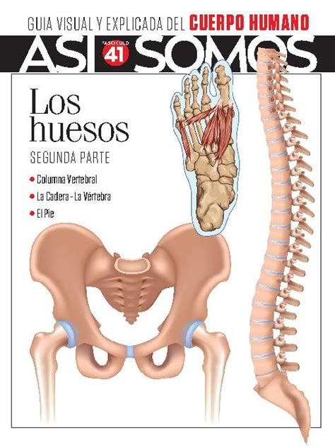 Así Somos El cuerpo humano Fascículo 8 2024 Digital