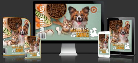 Mascotas Sanas Masterclass Dieta Balanceada Para Perros Y Gatos