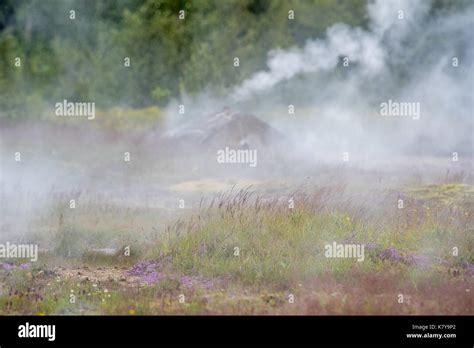 Iceland Geysir Hot Spring Area Stock Photo Alamy