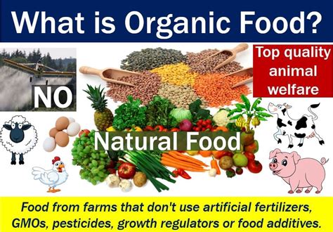 Organic Food Definition And Meaning Market Business News