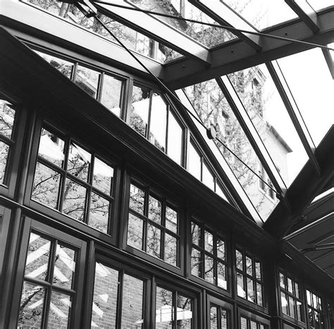 Grayscale Shot of a Glass Roof of a Greenhouse · Free Stock Photo