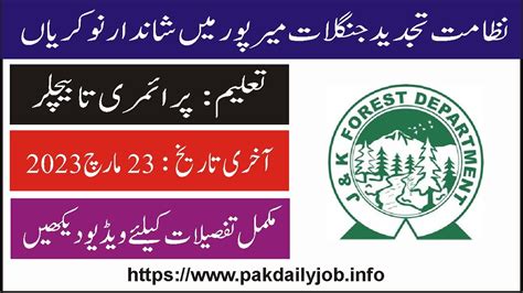 Forest Department Jobs Mirpur 2023 New Jobs In Pakistan Today YouTube