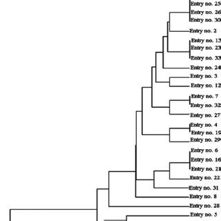 UPGMA Dendrogram Illustrating The Genetic Relationships Of 34 Selected