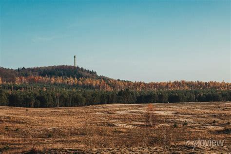 Bledow Desert Pustynia Bledowska Biggest Sand Desert In Silesia