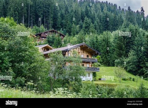 Traditional Wooden Houses With Balconies Surrounded By Tall Trees And