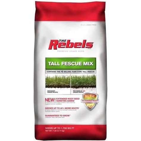 Pennington 100081770 The Rebels Tall Fescue Grass Seed 7 Pound