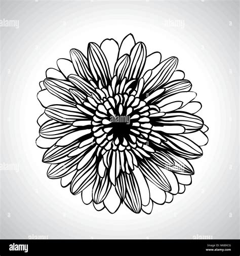 Vector hand draw flowers set isolated on white Stock Vector Image & Art ...