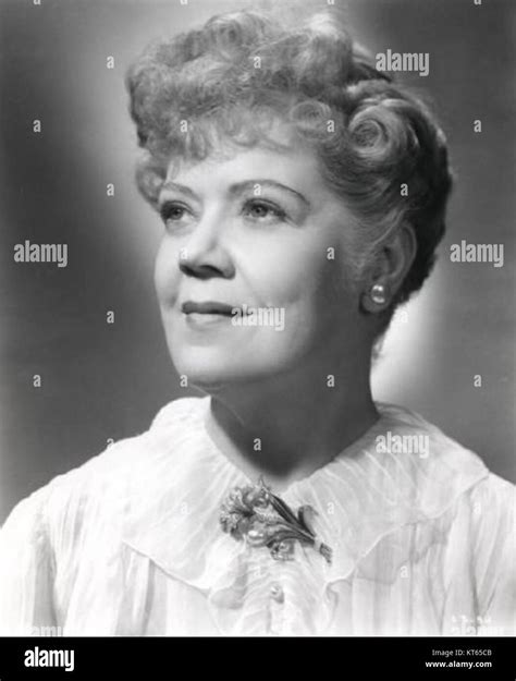 Spring Byington Hi Res Stock Photography And Images Alamy