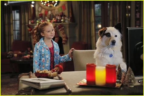 Full Sized Photo of dog with blog stan steals christmas stills 02 | Avery, Tyler & Chloe ...