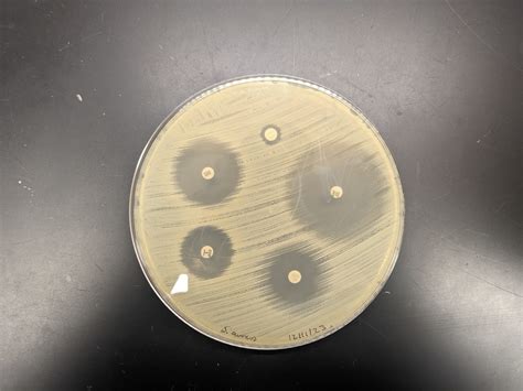 Antibiotics Laboratory Exercises In Microbiology