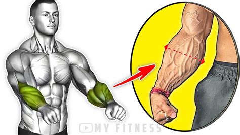 Get Bigger Forearms At Home No Equipment Best Exercises Youtube