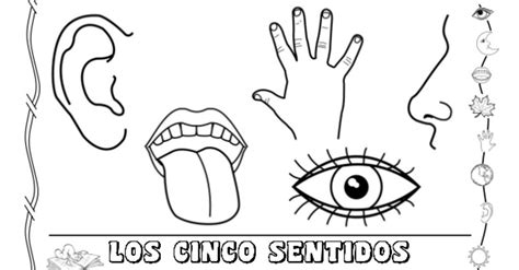 Dibujos De Los Cinco Sentidos Para Colorear Organos De Los Sentidos Sexiz Pix