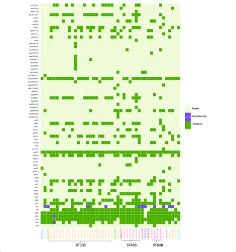 Heatmap Showing The Distribution Of Acquired Amr Genes And Amr