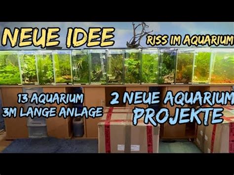 Neue IdeeRISS AQUARIUM 2 NEUE AQUARIUM PROJEKTE 13 AQUARIEN 3M LANG