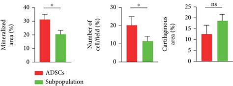 Proliferation And Trilineage Differentiation Potential Between Adscs Download Scientific