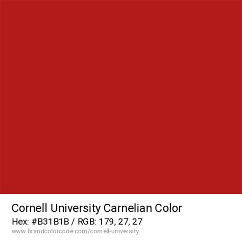 Cornell University Brand Color Codes » BrandColorCode.com