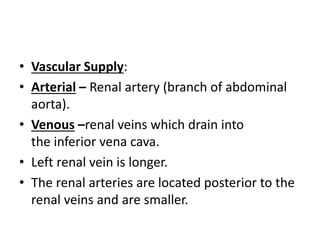 Kub anatomy | PPT