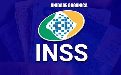 O Que é Unidade Orgânica Inss Saiba Agora Mesmo