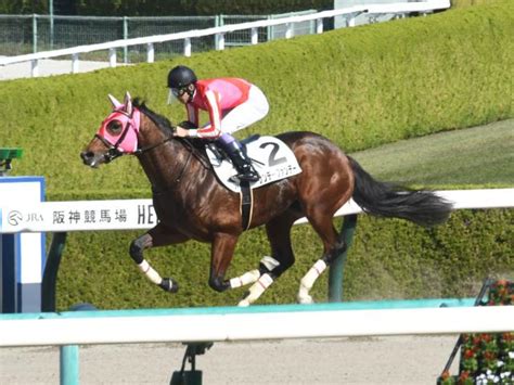 【阪神4r新馬戦結果】武豊騎手騎乗サンデーファンデーが逃げ切りv 競馬ニュース Netkeiba