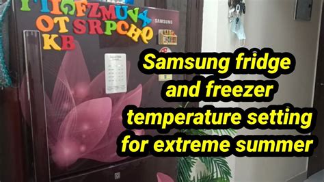 Samsung Fridge And Freezer Temperature Setting For Extreme Summer