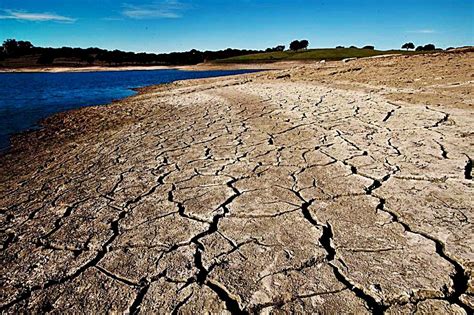 Chuva Recente Melhorou Situação De Seca No Algarve Mas Não Resolve