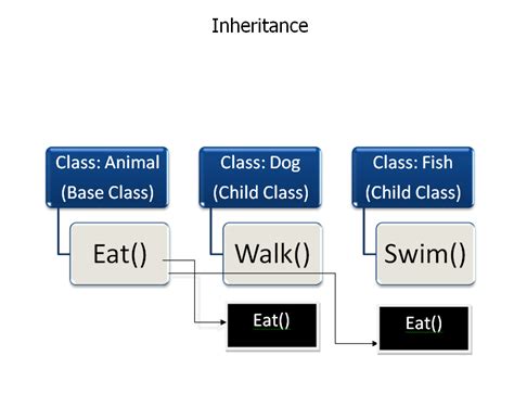 Classes In Python Constructors Inheritance Guide Codechit