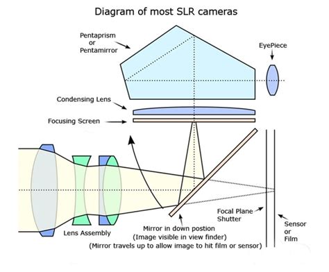Slr Camera Diagram With Parts And Functions Camera Slr Parts