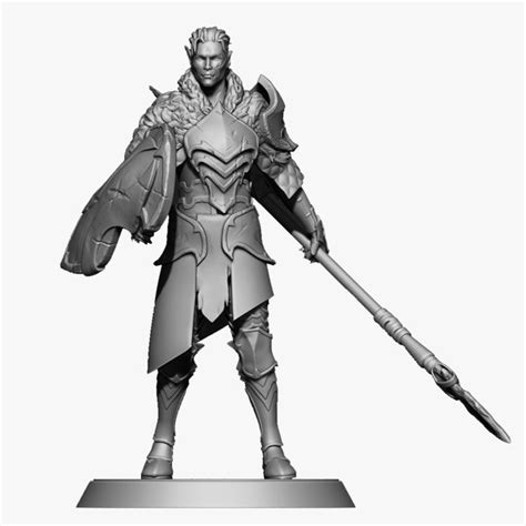 3d Half Elf Paladin Model Turbosquid 1512855