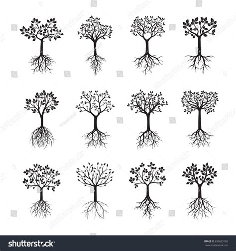 Set Black Trees Roots Vector Illustration เวกเตอรสตอก ปลอดคา