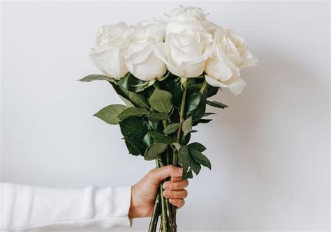 Meaning of White Roses: Love, Dreams, Occasions, and More