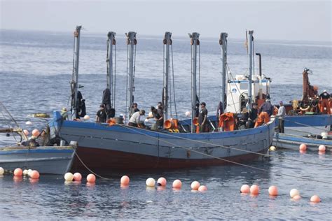 Ruta En Barco Y Visita A Las Almadrabas Del At N Rojo Actividades Y