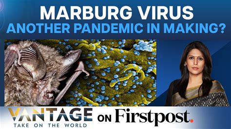 After Covid Time For The World To Brace For Deadly Marburg Virus