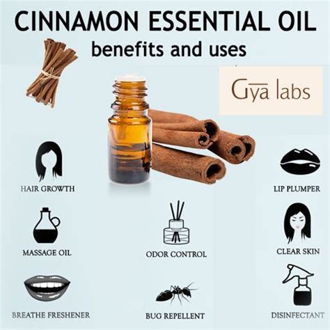 benefits & uses of cinnamon oil Cinnamon Oil Uses, Cinnamon Bark ...