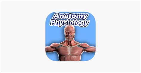 Learn Anatomy Physiology On The App Store