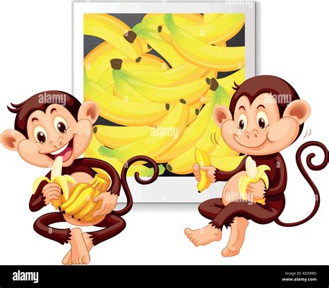 Dos monos comiendo bananas ilustración Imagen Vector de stock Alamy