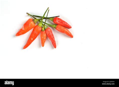 Chilli Peppers Red And Hot On White Background Stock Photo Alamy