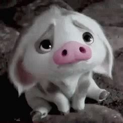 Sad Pig GIF - SadPig - Discover & Share GIFs