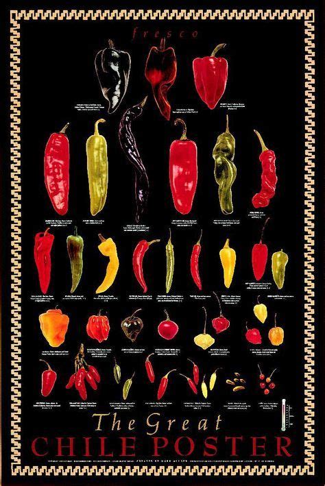 Not Just Jalapeños A Chile Pepper Guide Macheesmo Stuffed Peppers Stuffed Hot Peppers