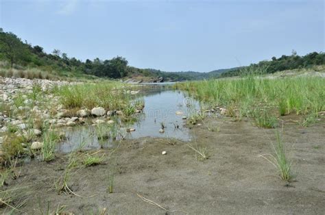 A view of the Beas River stock photo. Image of pradesh - 78261082