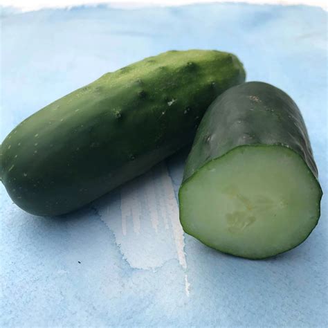 Marketmore 76 Cucumber Organic Seeds Hudson Valley Seed Company