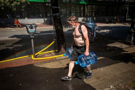 Last summer's B.C., Alberta heat wave was among most extreme since 1960s, study shows | CBC News