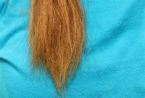 How To Prevent And Stop Hair Breakage 9 Home Remedies