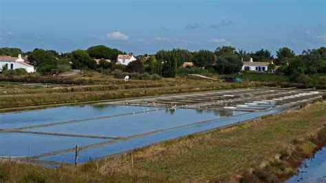 Plages elles ferment de nouveau à cause du non respect des consignes