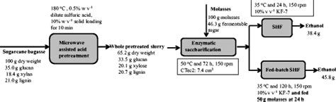 Mass Balance Of Ethanol Fermentation Of Whole Pretreated Slurry Of Download Scientific Diagram