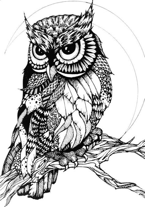 Owl Zentangle Fosterginger Pinterest More Pins Like This One At